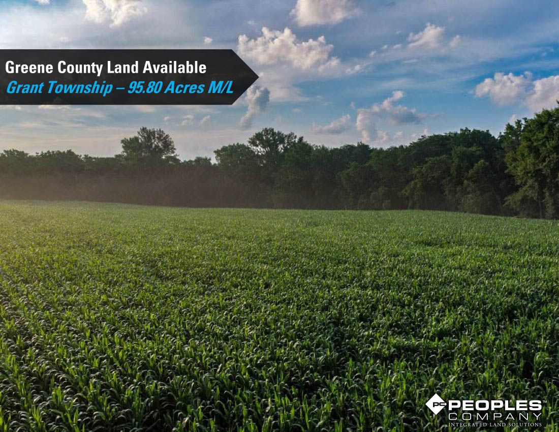 Listing Photo: Greene-Co-Rec-Land-Available-95-Acres-19559 (10)